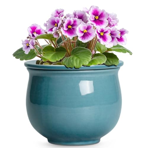 Teagas African Violet Pots 6 Inch, Ceramic Self Watering Pot with Absorbent Inner Planter, African Plant Pots for Indoor Plants, Round Flower Pot, Bedroom Decor, Gifts for Plant Lover, Glaze Blue