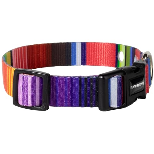 3/4" Nylon E Collar Replacement Strap - In Ground Fence Collar, Compatible with Pet Safe & Invisible Fence (Medium, Rainbow)