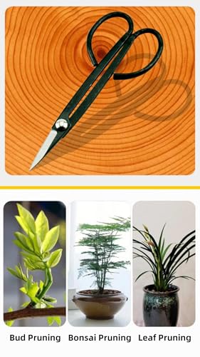 Tijeras para Jardín Dzrige 18.5 cm Acero Carbono miniatura 6