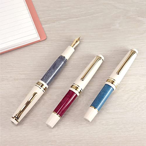 Sailor Fountain Pen Professional Gear Rencontre Fountain Pen Grief Medium Fine Point 11-2230-321 With Original Stylus Ballpoint Touch Pen #TOP4