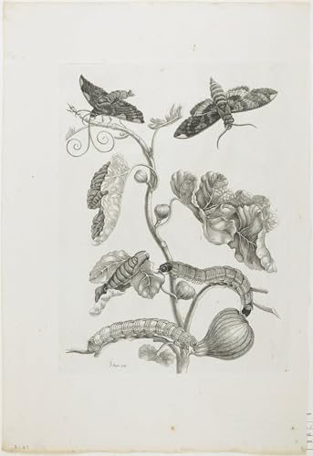 Lienzo de mariposas vintage de 60x90cm, arte mural lleno de calma para tu dormitorio