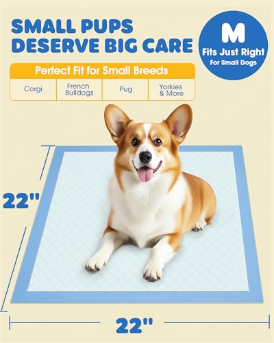 Image of Powools 150-Pack Large Puppy Pads - 22'' x 22'' Pee Pads for Dogs Potty Training with Leak-Proof Quick-Dry Design, 6-Layer Dog Pads Large, Blue