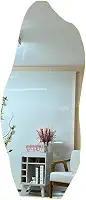 Espelho De Corpo Inteiro Com IluminaçãO | Para ChãO Ou Parede | Ideal Para Quarto, Sala E Hall(LUZ QUENTE BATERIA,60x40)
