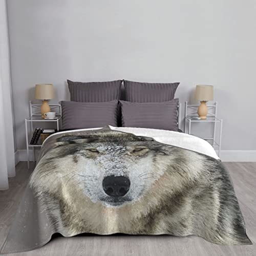 Wolf Soft Blanket All Season Fuzzy Throw Warm Lightweight Blanket Flannel Blankets Fleece Throws For Bed Sofa Couch Travel Home Living Room Decor 80"X60" #TOP2