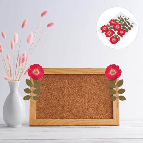 12 piezas de flores de rosa secas naturales y hojas prensadas miniatura 7