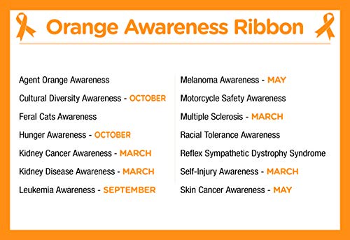Fundraising For A Cause | Orange Ribbon Stretch Bracelets - Orange Ribbon Awareness Bracelets for Leukemia Awareness, Kidney Cancer, Multiple Sclerosis, Gun Violence & Hunger Awareness3