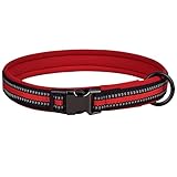 Collar de perro reflectante --- Con 2 tiras reflectantes en la superficie del collar, asegura una visión clara en la carretera en la oscuridad. Por la mañana temprano y por la noche puedes caminar, correr o trotar con tu perro.