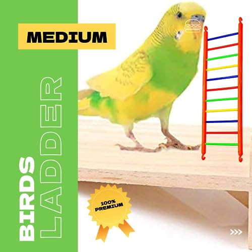 VAYINATO-Birds-Colorful-Plastic-Climb-Ladder-Toy-Pack-of-2-Cage-Accessories-for-Love-Birds-Parrot-Parakeet-Budgies-Cockatiel-Etc-Medium-21CM-by-Petzlifeworld