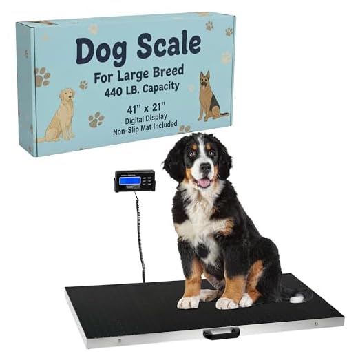 Houseables Dog Scale for Large Dogs, Vet Pet Scales, Digital Animal Weight Machine, 41"x21", 440 LB, Stainless Steel, Extra Wide Platform, Weigh Livestock, Sheep, Goat, Rabbit, Lamb, Shipping Packages