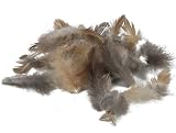 RiloStore 1 lot de 150 plumes de poule ot788 - Décoration de Pâques - Plumes décoratives