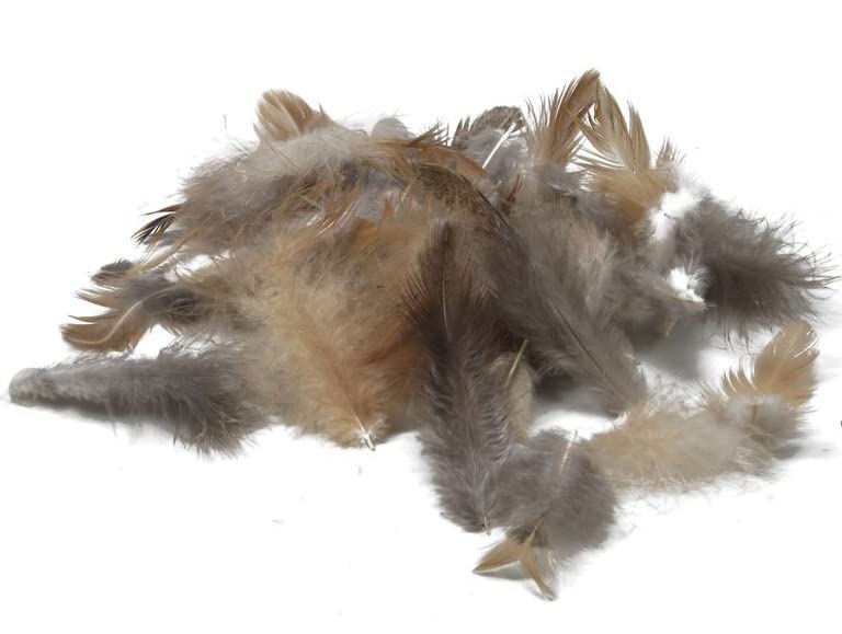 RiloStore 1 Pack Chicken Feathers Pack of 150 Easter Decoration Craft Feathers Guinea Fowl Feathers Decoration Easter Feather Chicken Feathers ot788 Decorative Feathers