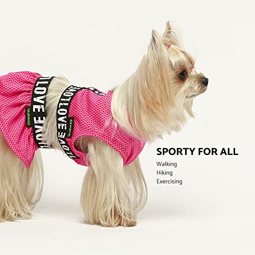 Fitwarm 2 Piece Dog Dress, Athleisure Lightweight Dog Clothes For Small Dogs Girl, Cat Apparel, Rose Pink, Small #TOP3