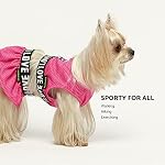 Fitwarm 2 Piece Dog Dress, Athleisure Lightweight Dog Clothes for Small Dogs Girl, Cat Apparel, Rose Pink, Small