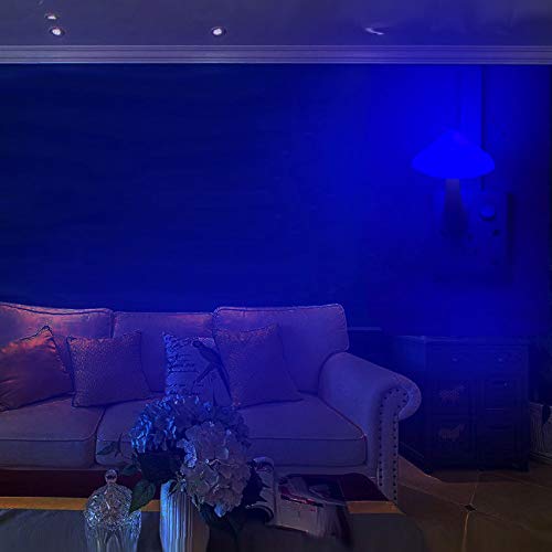 Ausaye 2Pack Sensor Led Night Light Plug In Lamp 7 Color Changing Mushroom Light Cute Night Lights For Adults Kids Nightlight Bedroom, Bathroom,Toilet,Hallway,Stairs,Kitchen #TOP7