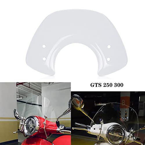 OXLLONE GTS 250 300 Motociclo Copertura Parabrezza...
