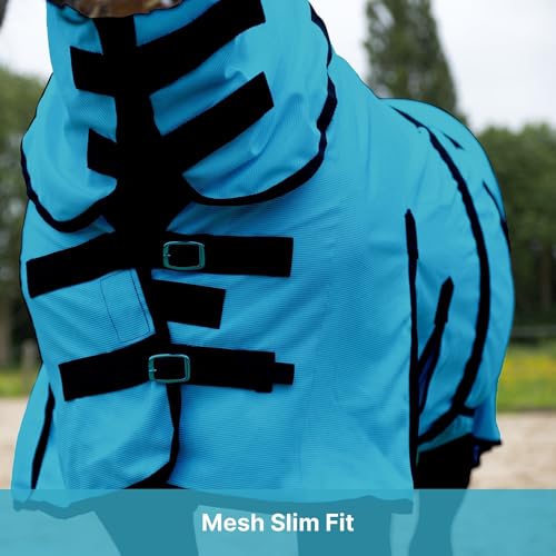 Image of Horse Fly Sheet with Attached Neck Cover & Tail Flap | UV Protection Mesh Horse Blanket, Full Body Bug & Sun Shield, Buckles, Belly Wrap & Gussets for Spring Summer Riding Rug (Turquoise, 80 inch)