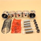 DORFEY 5Set Motor Kolben Lager Ringe Kit Fit for POULAN...