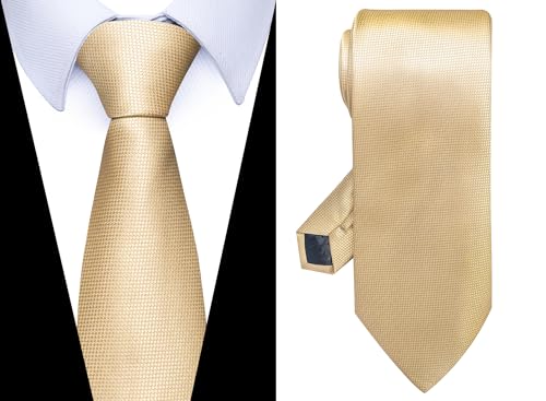 Image of Passabin Tie For Men Necktie Woven Jacquard Neck Ties Set 6 PCS