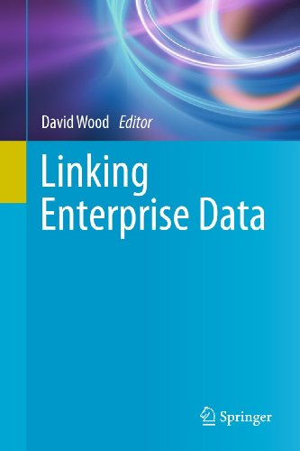 Linking Enterprise Data view 2