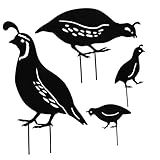 Ornements de pelouse animaux oiseau : une décoration pour votre jardin, pelouse, design réaliste et apparence vive, décorative et unique, décoration de jardin de cailles