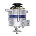 NeNchengLi 1200W Permanent Magnet Generator Alternator AC DC 12V-14V Pure Copper Generator, Low Rpm Generators for Agricultural Vehicle Tricycle, Dual-Wheel for Outdoor Charging& Lighting