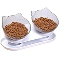 Raised Cat Bowls with Stand, Tilted Cat Bowls for Kitten, Elevated Cat Food and Water Bowls, Double Cat Bowls Anti Vomiting Cat Feeding Bowl
