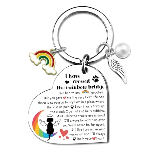 Image of VIESUJI Rainbow Bridge Dog Memorial Gifts for Loss of Dog Sympathy Gift Pet Memorial Gifts for Dogs Remembrance Gift