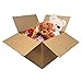 UBOXES Large Moving Boxes 20