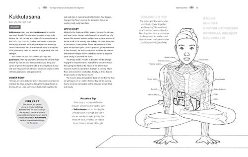 Pose by Pose: Learn the Anatomy and Enhance Your Practice (Volume 2) (Anatomy Coloring Books)
