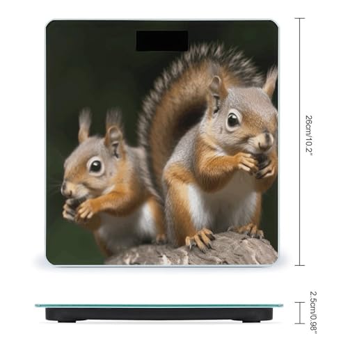 Báscula Digital de Baño Animal Ardilla miniatura 2