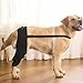 Dog Recovery Sleeve - Hip Brace for Dogs, Dog Sleeve Recovery | Dog Leg Support Brace, Rear Leg Knee Brace, Pet Leg Wounds Protector, Hip Joint Support, Protect Wounds for Small, Medium Dogs