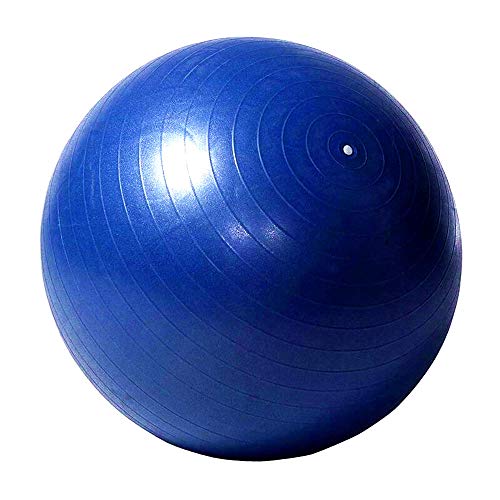 Herding Ball For Horse, 40" Anti-Burst Giant Soccer Ball Toy For Horses, Pump Included #TOP6