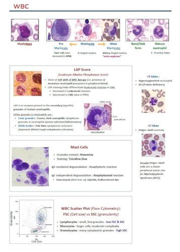 Image of Core BTR BTR ANNOTATED by Dr. Zainab Vora, Full Colored Notes with 19 Subjects (Core Btr Annotated Notes)