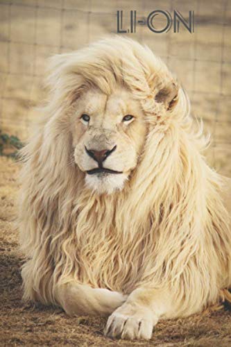 Li-ON: A Journal