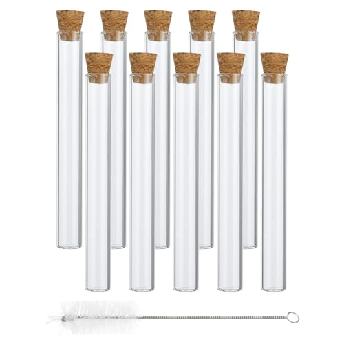 Tube à essai pour bouturage de plantes et racines en croissance