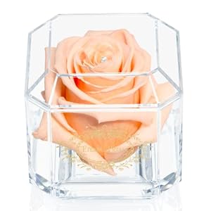 Una rosa reale al 100% che dura anni – Petali eterni, fatti a mano nel Regno Unito – Solo d’oro con cristallo Swarovski trasparente (deliziosa pesca)