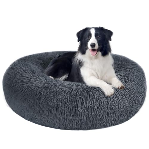 STAERTME ybgNbV Lxbh xbh LNbV ybgxbh ybgnEX ی`  ӂӂ ``  LpQ 􂦂 ybgxbg ^ ^ xbg L ėp ʋC悢 XNGA^ _炩 ӂӂ 