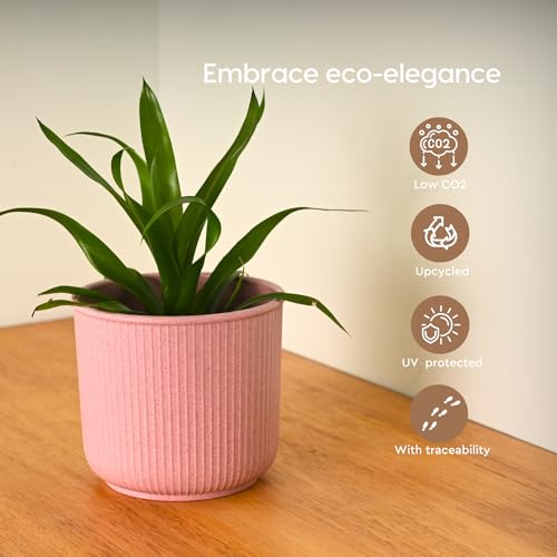 Image of Eha Earth Friendly Statement Pot 4 Inch Pots and Planters Set of 1 | Table Top Planters| Bamboo Based, UV Protected | Planter for Indoor & Balcony Window Flower Pots | Innocent