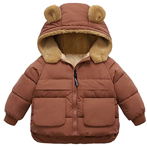 Look Adorable in the Best Teddy Bear Jacket with Ears A Guide to Shopping