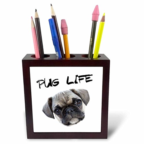 Porte-stylo carlin mignon décoratif pour organiser le bureau de télétravail
