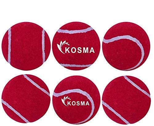 Pack of 6 Tennis Balls | Training Ball for Dogs, Super Bounce, Perfect for Begginer Cricket Training Practice | Cricket Ball (With carrying bag - Red)
