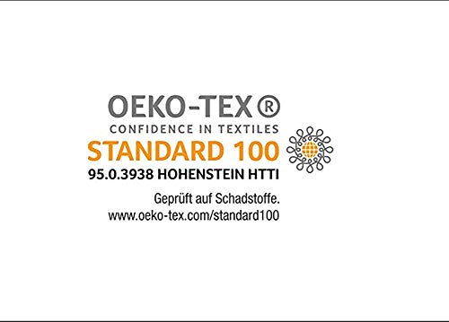 Lanqinglv Set Copripiumino in Microfibra con 2