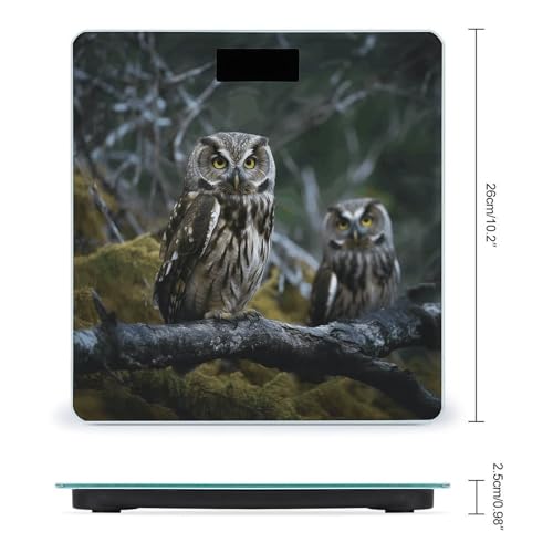 Báscula digital de baño con vidrio templado Wild Owl Birds miniatura 2