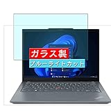 compatibile con Lenovo ThinkPad X13 GEN 4