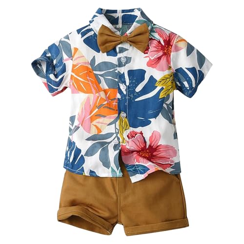 [hvreiop] q j̎q ZbgAbv   AnVc n[tpc ㉺ Zbg LbY  ʋC K r[` Vc V[gpc {[CY JWA xr[ qǂ   ʉ ʊw ][g s(R[q[