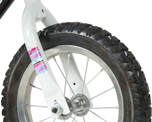 Image of Dynacraft Magna Sapphire Bike - Sturdy Steel Frame, Front and Rear Hand Brakes, Adjustable Seat, Kickstand - Ideal for Ages 6-10, Perfect for Outdoor Riding