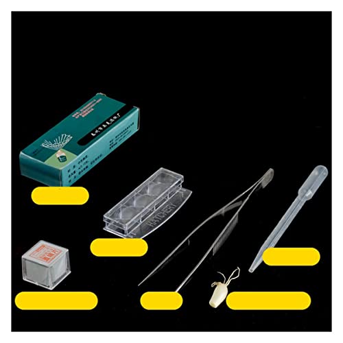 Lbg wĨZNVpANZT[Av[gJo[KXpbP[WZbgKX YA_v^[