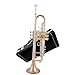 Student Brass Trumpet Two-color Trumpet B-flat Tone Students Beginner Professional Examination General Band Playing Musical Instruments