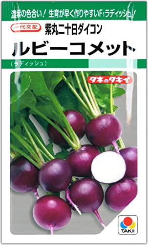 二十日大根（ラディッシュ）種子 ルビーコメット 310粒