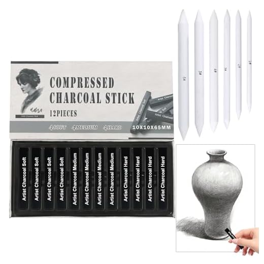 12 Piezas Carboncillo para Dibujo Carboncillos para Dibujar con 6 Difuminadores para Dibujo Carboncillo para Pintar Dibujar Diseñar Arte (4 Suaves + 4 Medianos + 4 Duros)